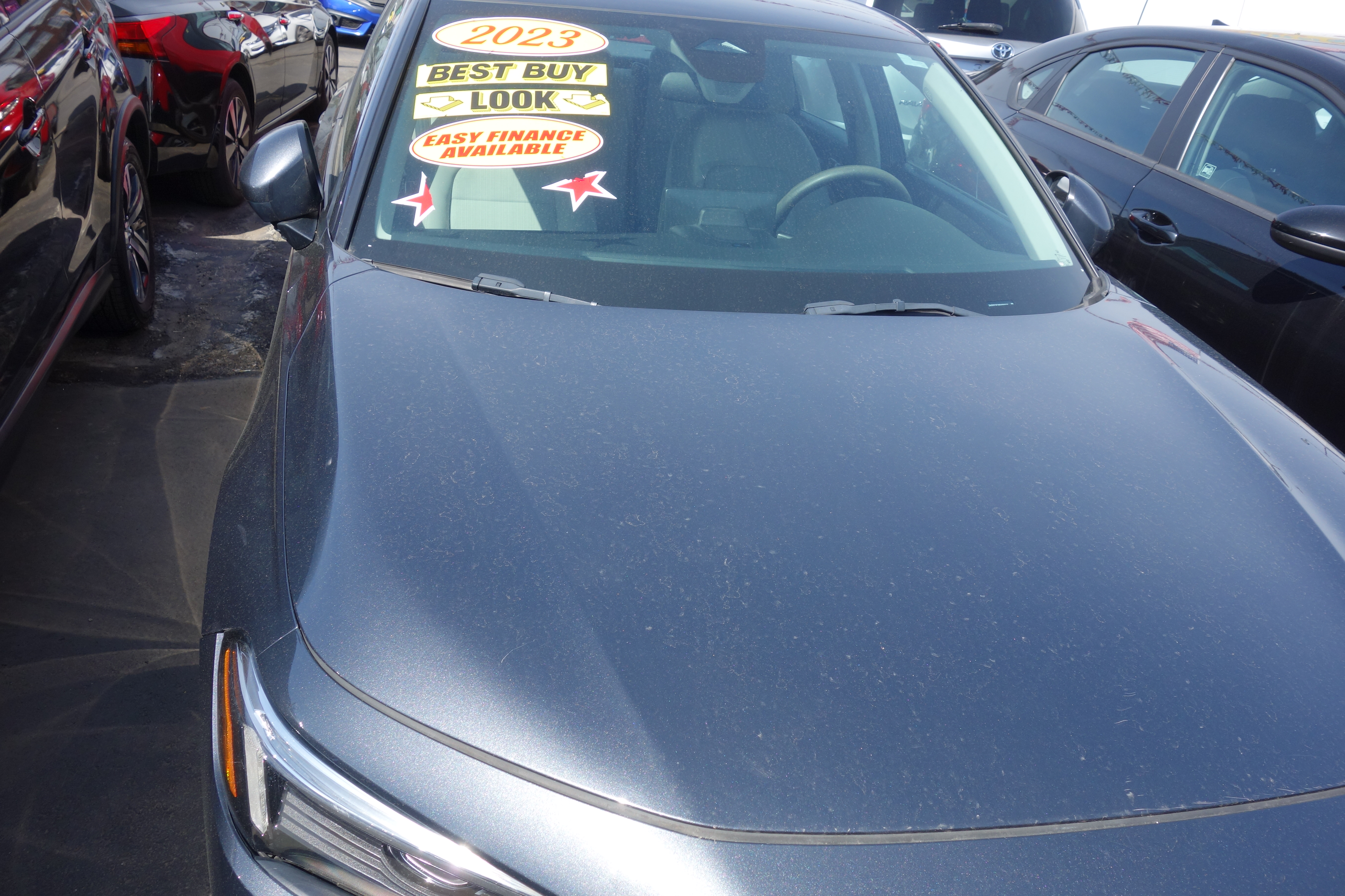 2023 Honda Civic EX for sale in Bridgeport, CT